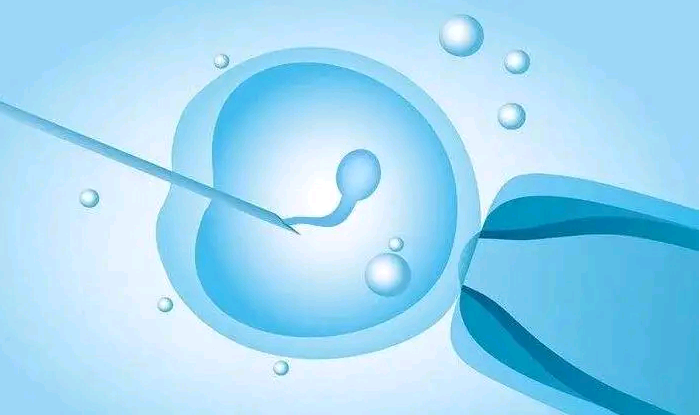 2023武汉助孕机构排名,武汉最出名的试管婴儿机构是不是同济医院生殖中心？