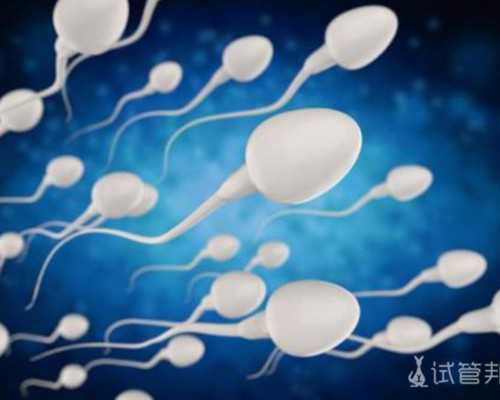 备孕的准备_备孕吃什么药,备孕的人不能吃什么水果