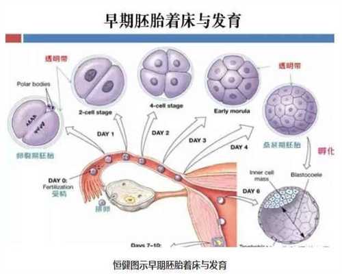 武汉试管婴儿公司_武汉代孕价格表：普通感冒药和流感感冒药有什么区别