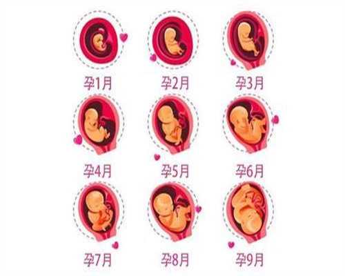 怎么联系代孕的医生_五十岁女子宮能代孕吗：男性尿道炎会导致不孕吗 尿道炎