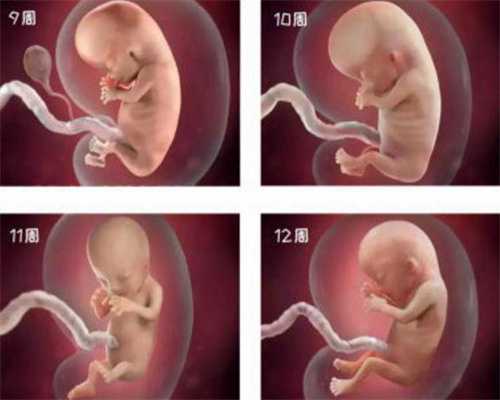 武汉试管婴儿花费_武汉做代孕的过程_上海添丁集团谢诚：输卵管阻塞造成不孕