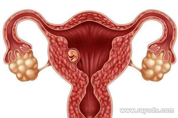 供卵试管被骗钱_包成功双胞胎_泰国试管婴儿可以科学避免生化妊娠吗?