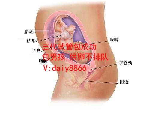 阳信县试管婴儿_阳信县代孕那最好_试管婴儿期间体重增加多少是正常的?