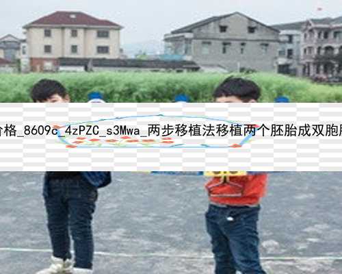 武汉代孕2020年价格_8609c_4zPZC_s3Mwa_两步移植法移植两个胚胎成双胞胎的多吗？